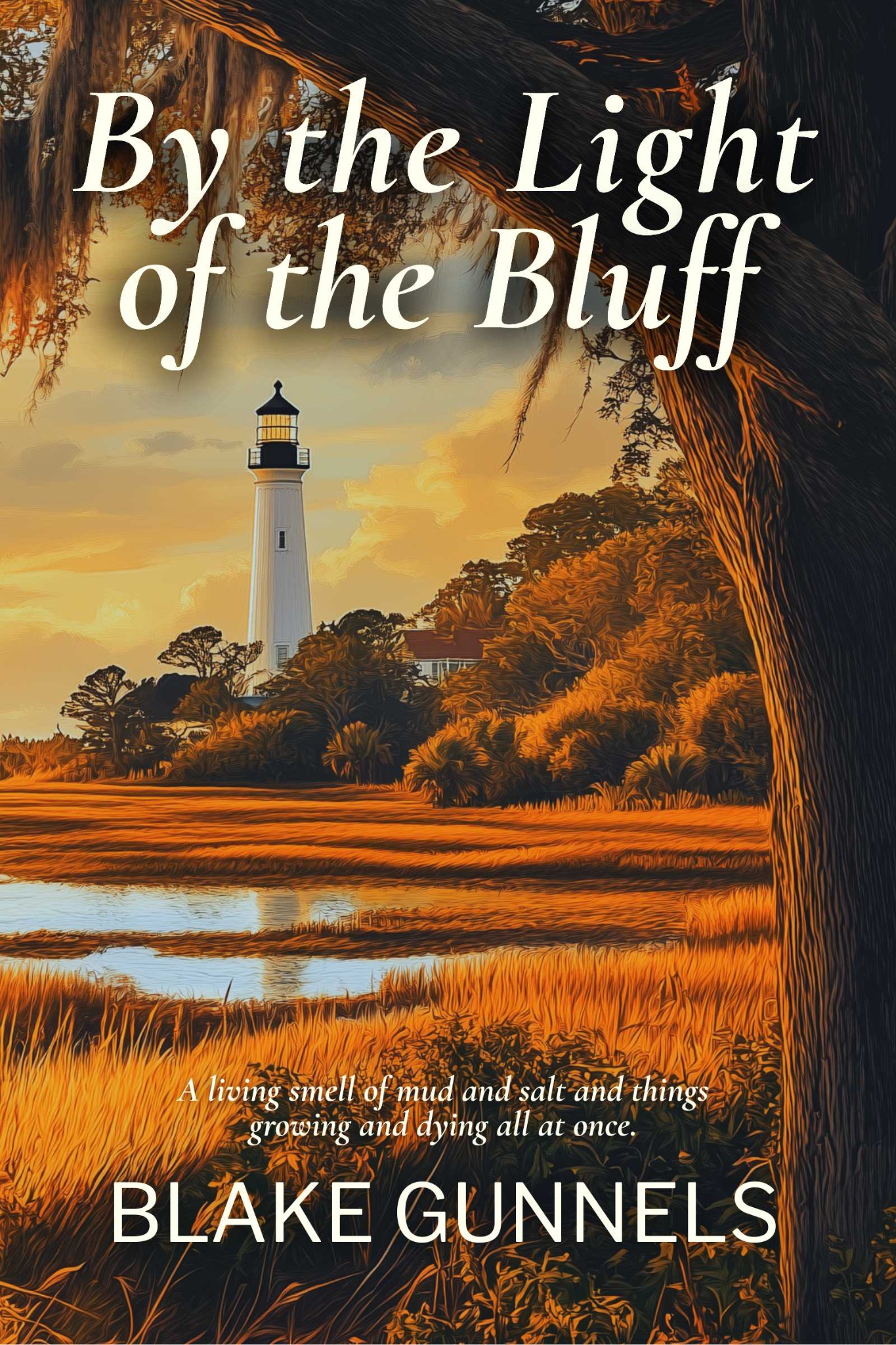 By the Light of the Bluff cover